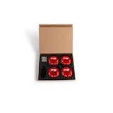 Fabspeed Chevrolet Corvette Lift Pucks