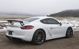 Fabspeed Porsche 981 Cayman GT4 Single-Wall Tips