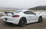 Fabspeed Porsche 981 Cayman GT4 Spyder Valved Exhaust System